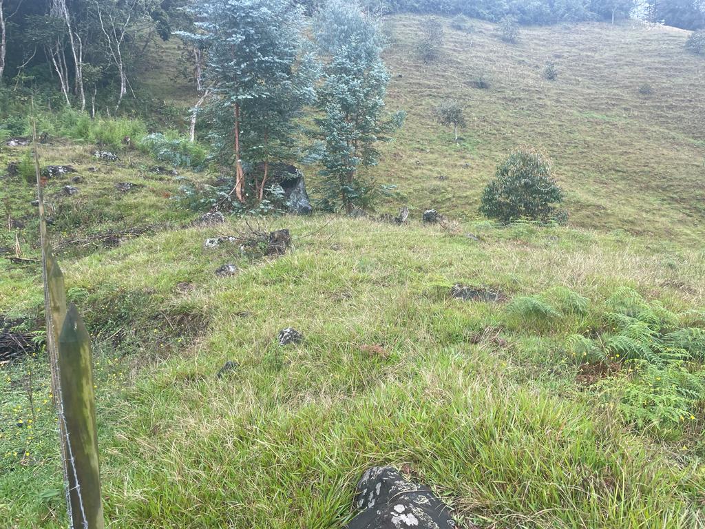 Lote en vereda San Nicolás La Ceja
