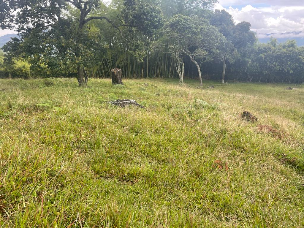 Lote en vereda San Nicolás La Ceja