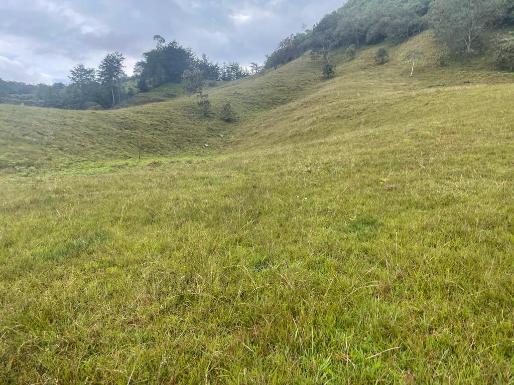 Lote en vereda San Nicolás La Ceja