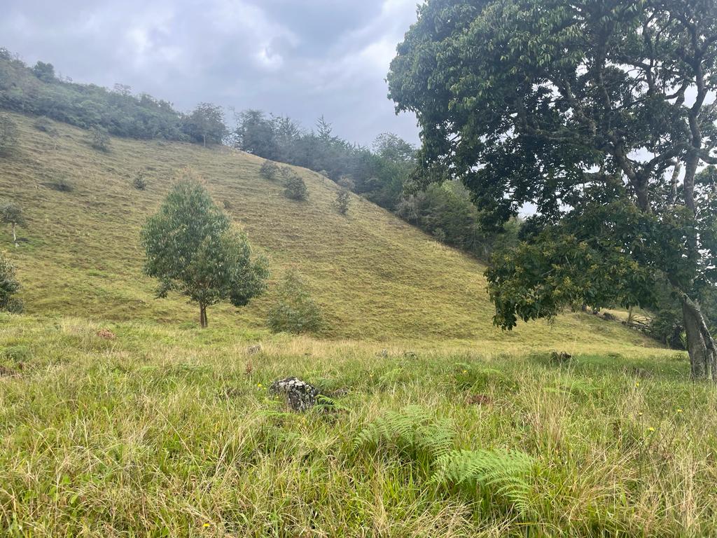 Lote en vereda San Nicolás La Ceja