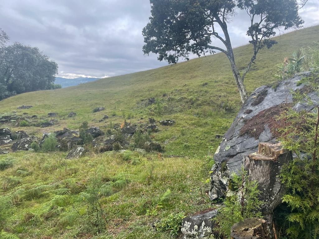 Lote en vereda San Nicolás La Ceja