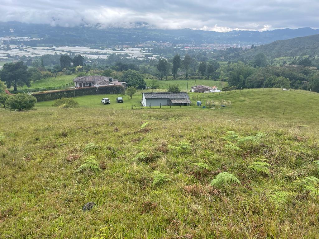 Lote en vereda San Nicolás La Ceja