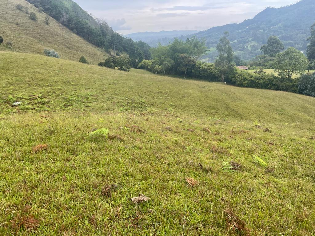 Lote en vereda San Nicolás La Ceja