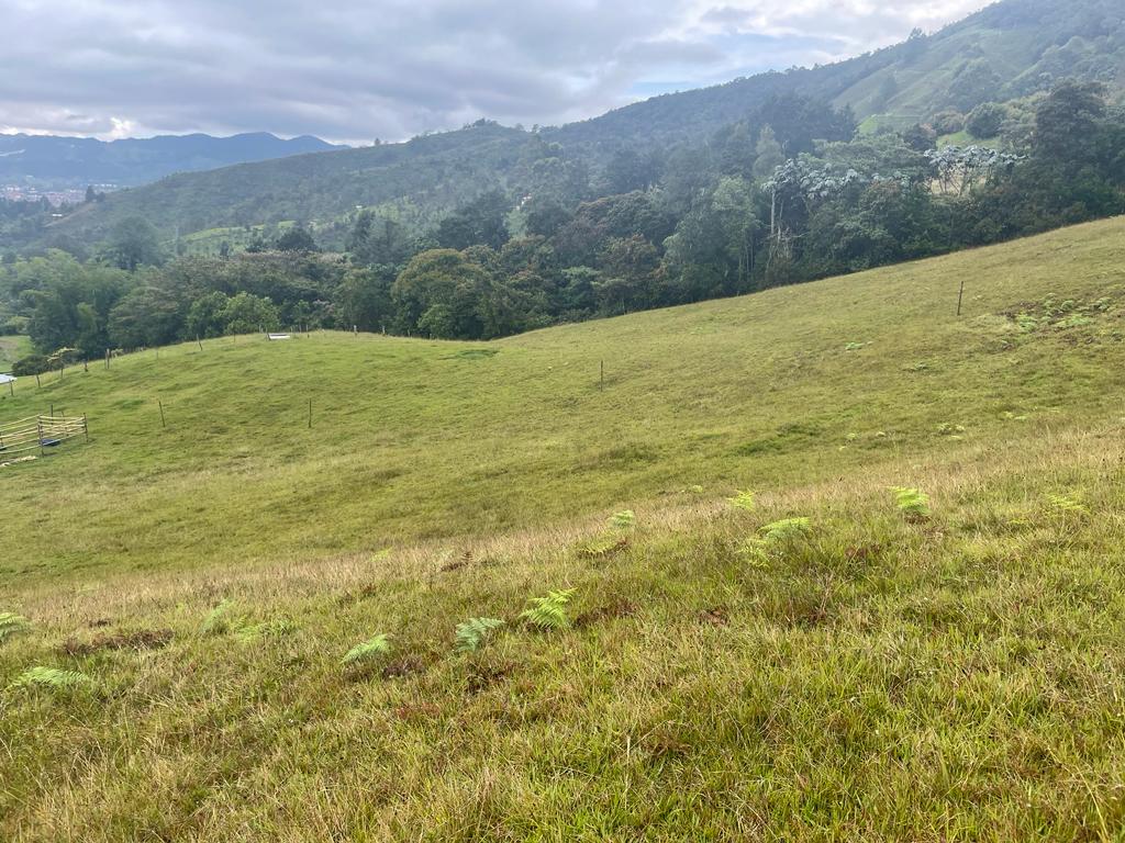 Lote en vereda San Nicolás La Ceja