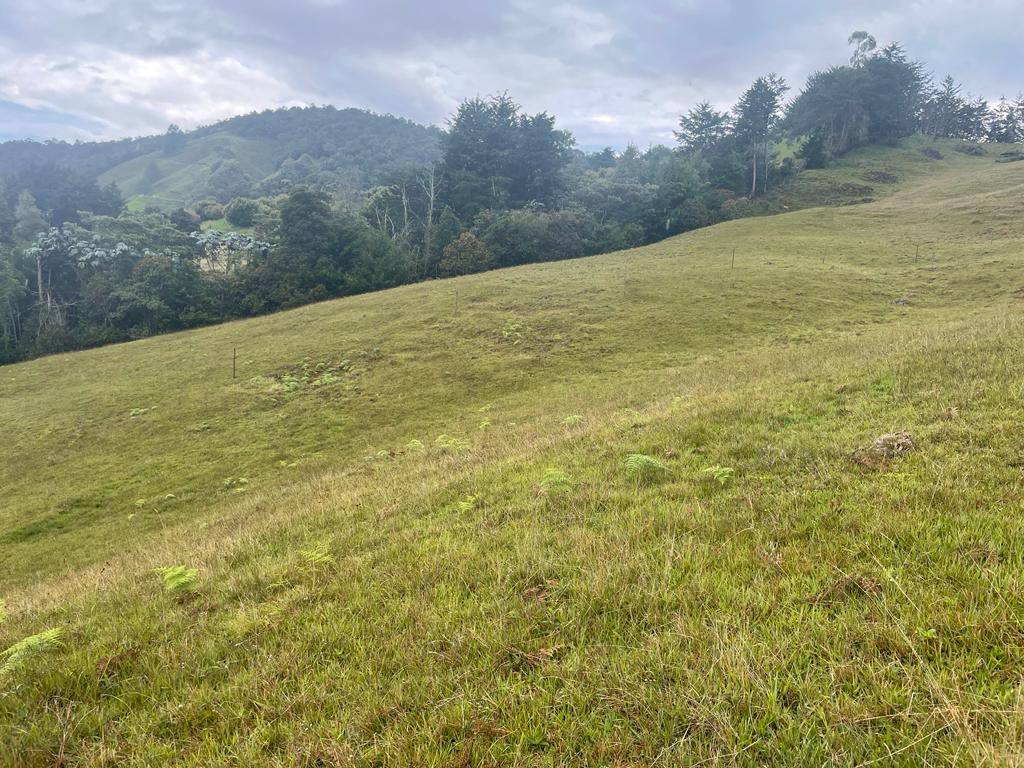 Lote en vereda San Nicolás La Ceja