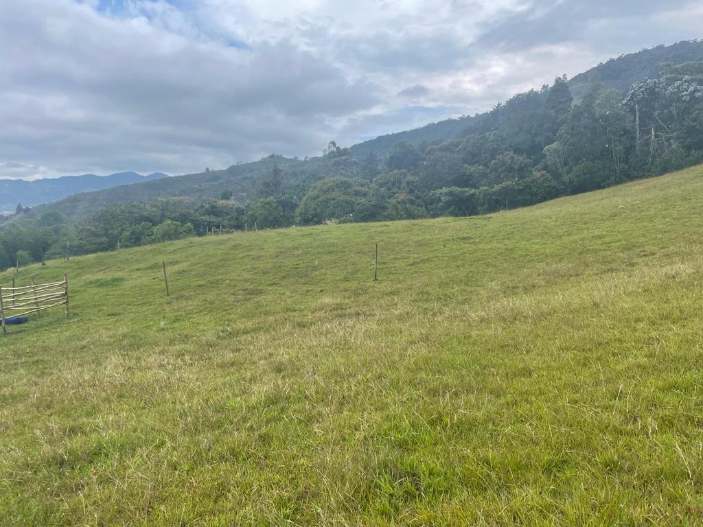 Lote en vereda San Nicolás La Ceja