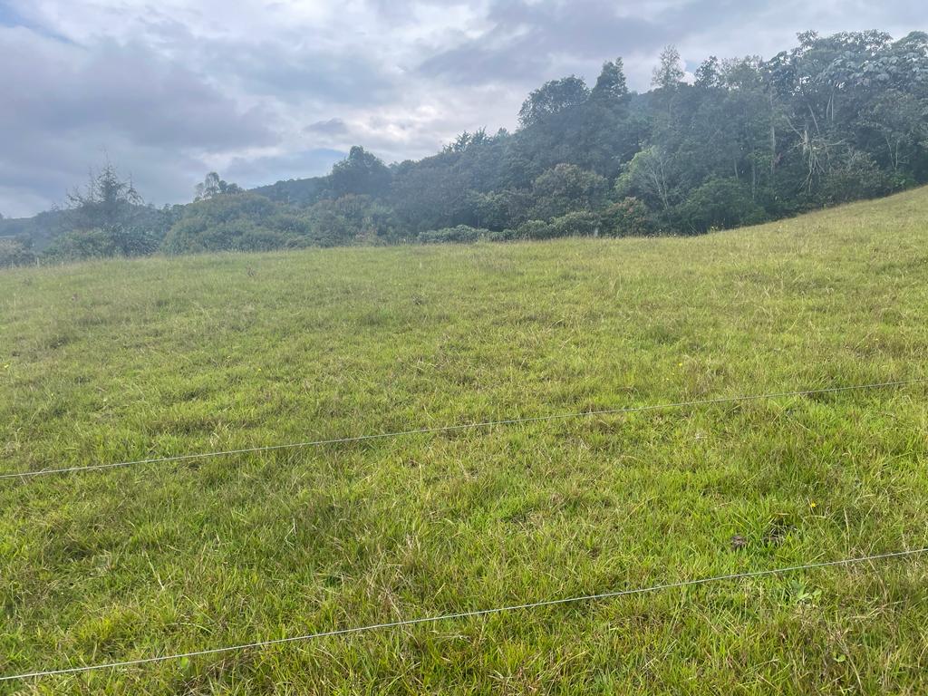 Lote en vereda San Nicolás La Ceja