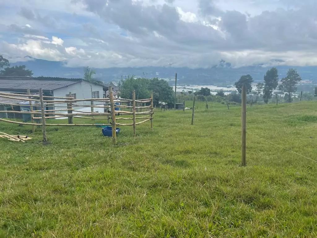 Lote en vereda San Nicolás La Ceja