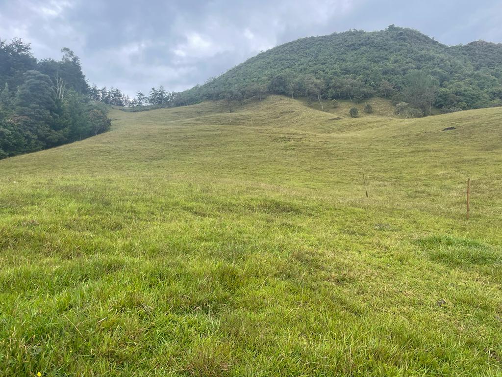 Lote en vereda San Nicolás La Ceja