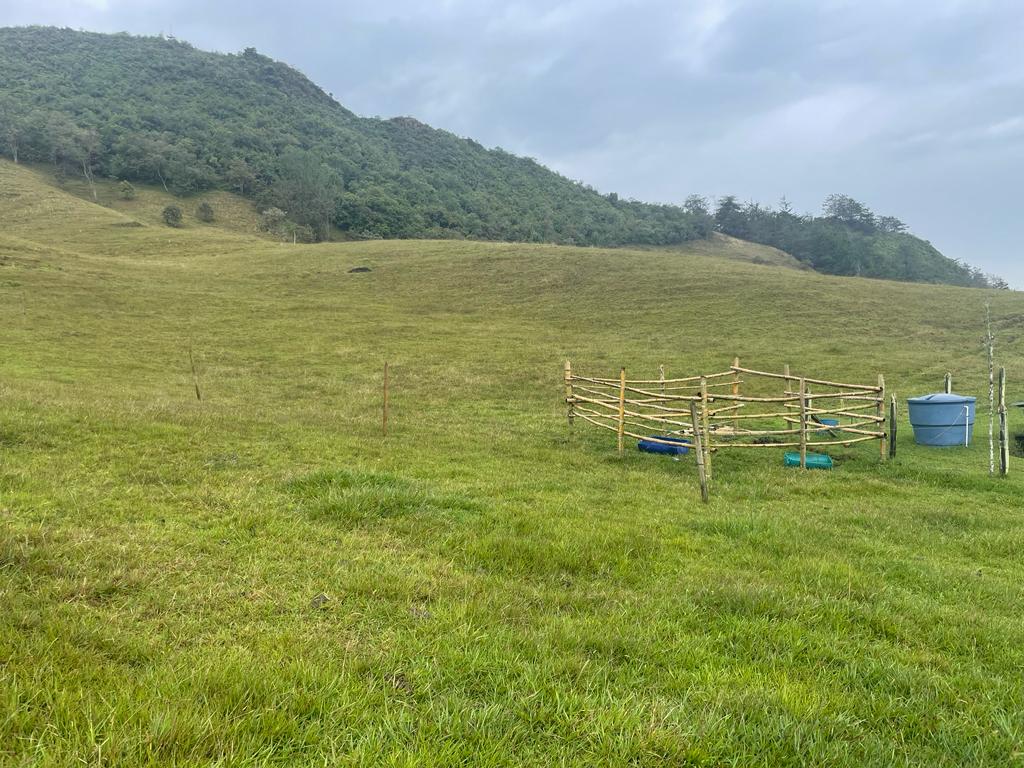 Lote en vereda San Nicolás La Ceja