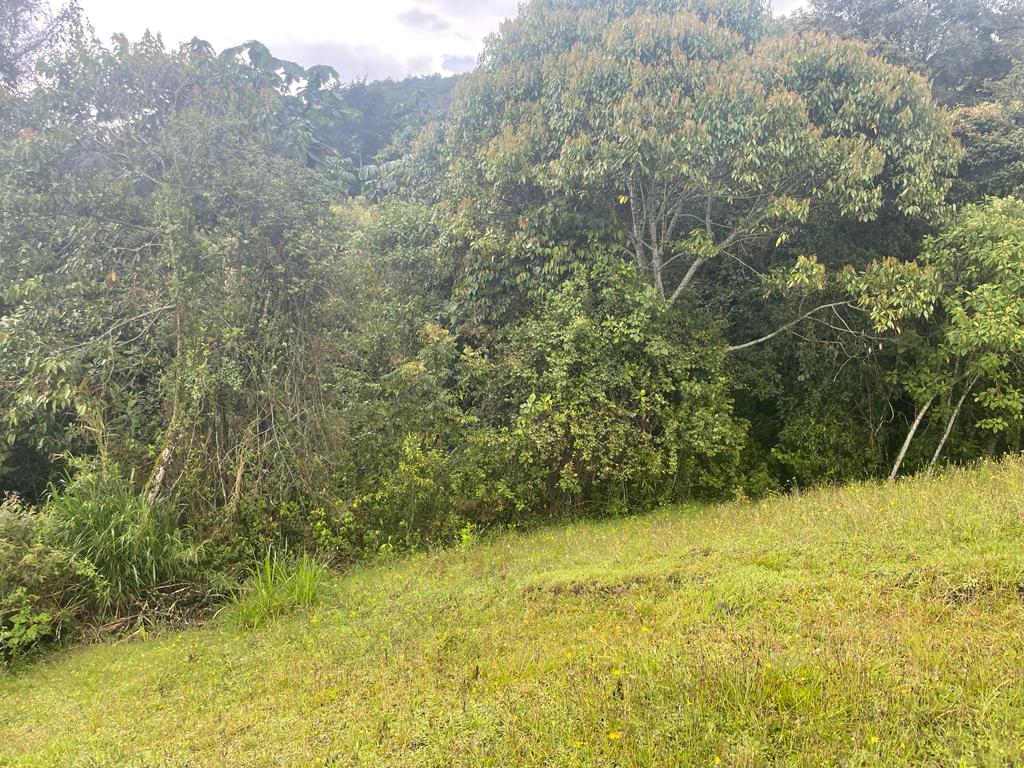Lote en vereda San Nicolás La Ceja