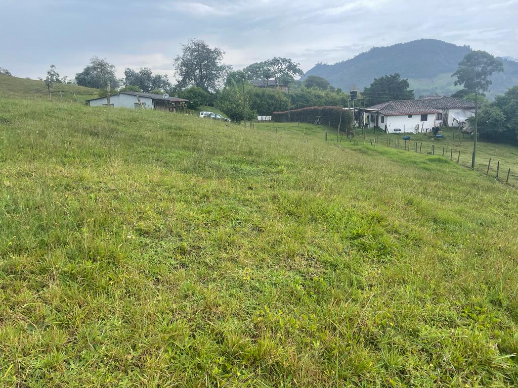 Lote en vereda San Nicolás La Ceja