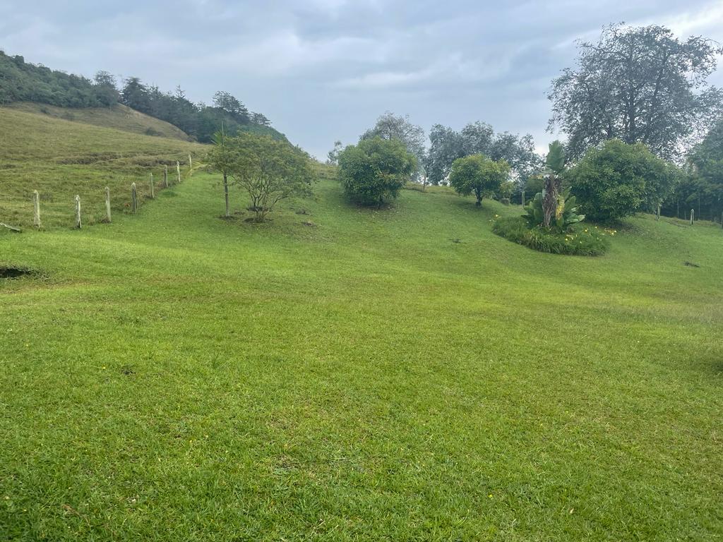 Lote en vereda San Nicolás La Ceja