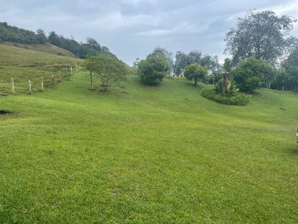 Lote en vereda San Nicolás La Ceja