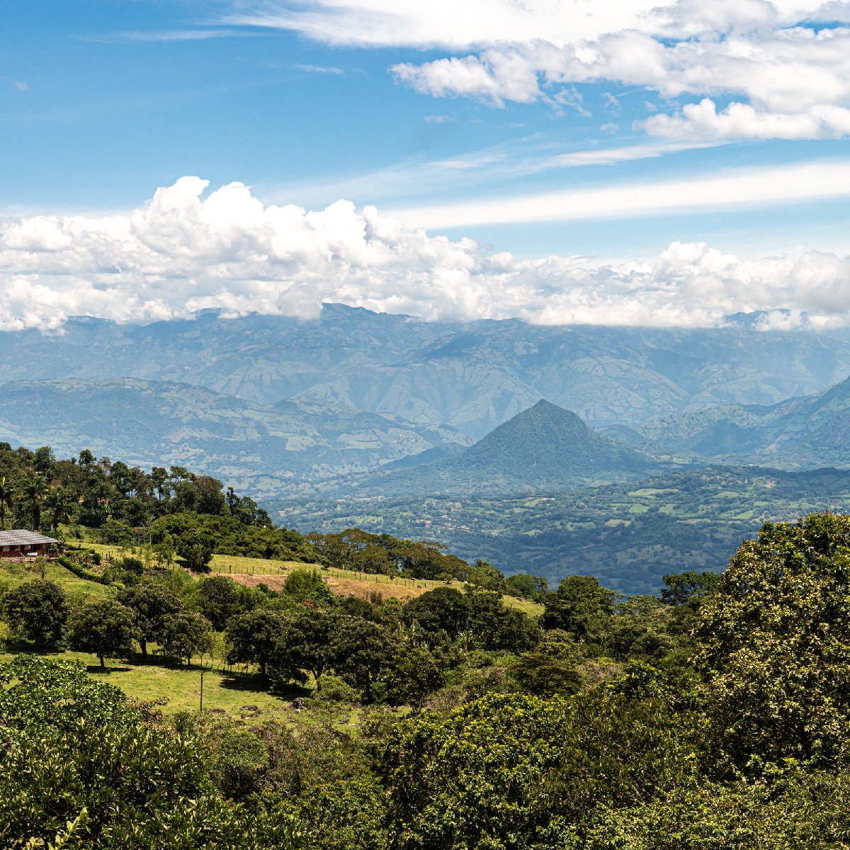 Increíble Lote en Llanogrande