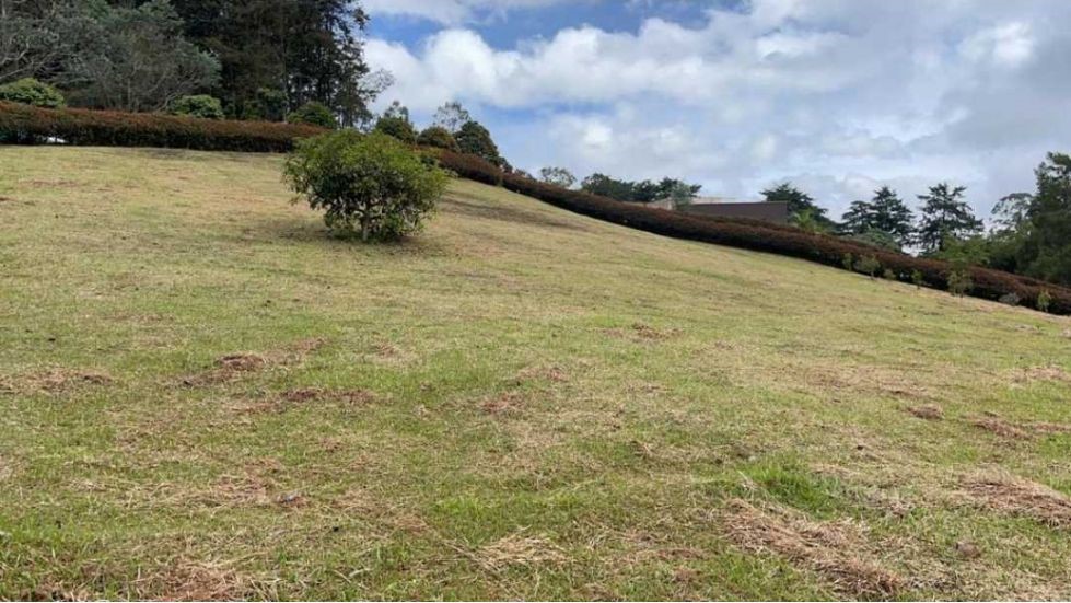 Venta de Lote en Parcelación cerrada, vía San Antonio La Ceja