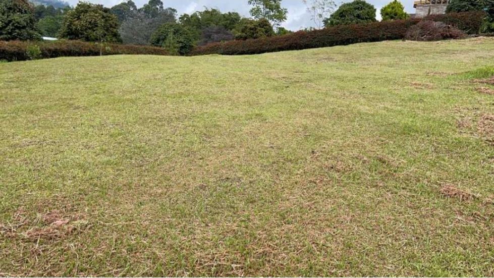 Venta de Lote en Parcelación cerrada, vía San Antonio La Ceja