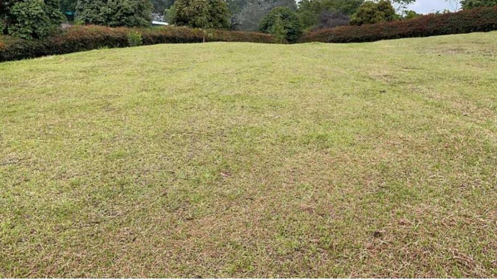 Venta de Lote en Parcelación cerrada, vía San Antonio La Ceja