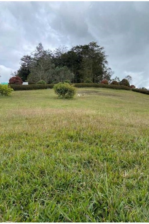 Venta de Lote en Parcelación cerrada, vía San Antonio La Ceja