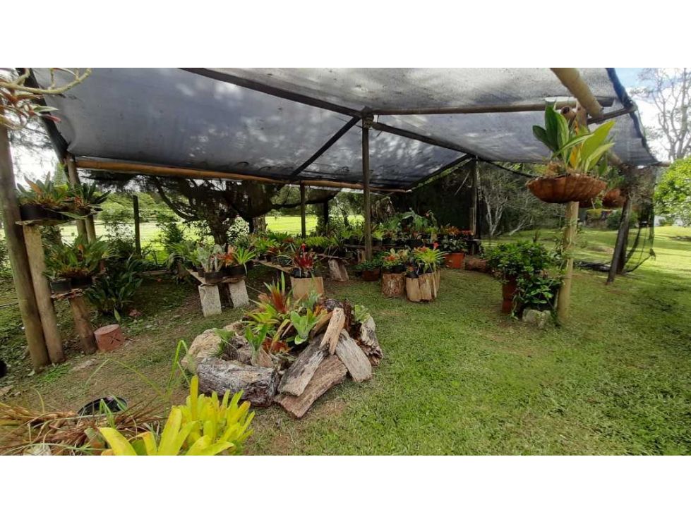 Casa campestre en venta, sector Fizebad,Gran Lote independiente